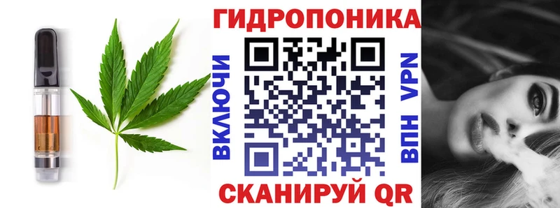 Печенье с ТГК марихуана  где купить наркоту  гидра как войти  Сясьстрой 