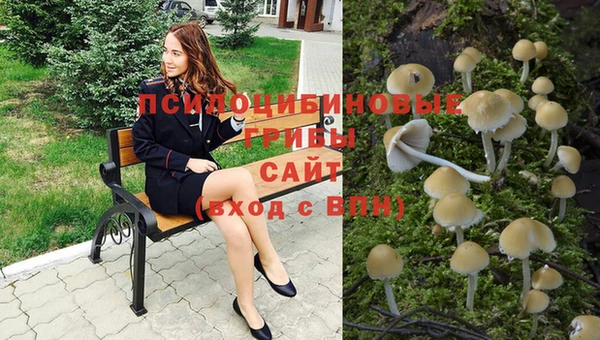 мет Алзамай