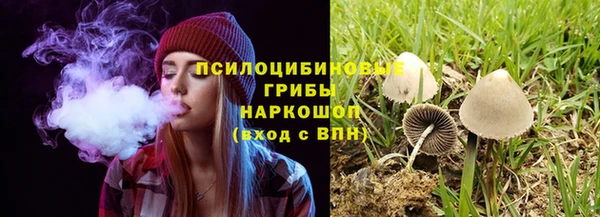 прущие крисы Алексеевка