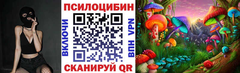 где продают наркотики  Сясьстрой  Галлюциногенные грибы прущие грибы 
