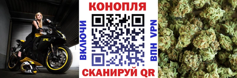 Каннабис ГИДРОПОН  Сясьстрой 